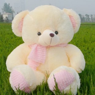 1.1米泰迪熊 结婚熊 抱抱熊 毛绒玩具熊